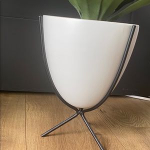 Accents - COPY - Modern fake potted plant Accents - COPY - Modern fake potted plant